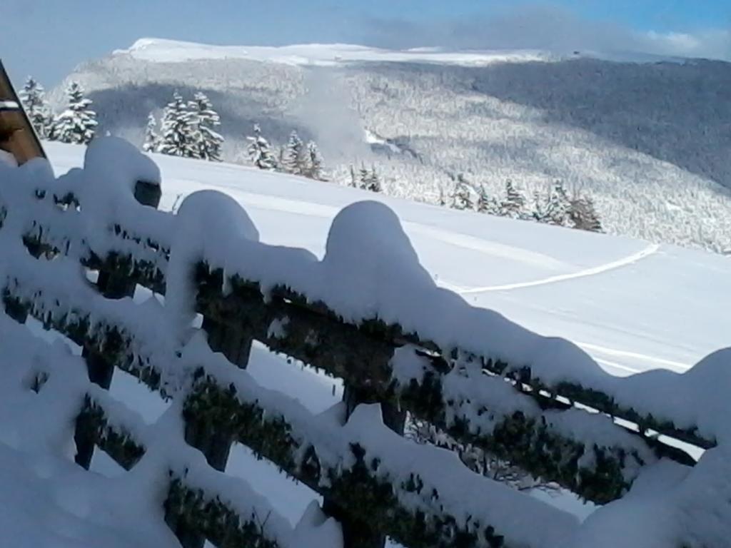 Garni Kostner Hotel Urtijëi Buitenkant foto